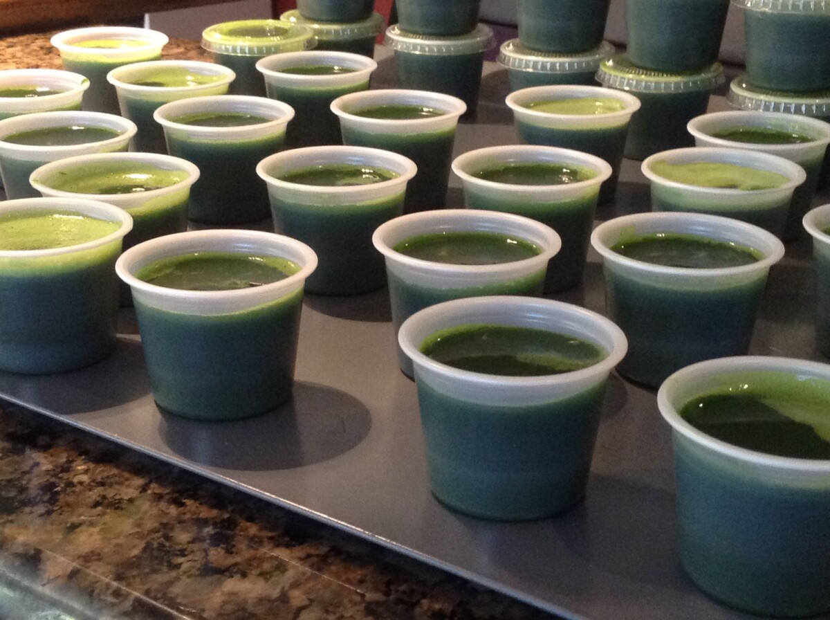 Jus herbe de blé shot