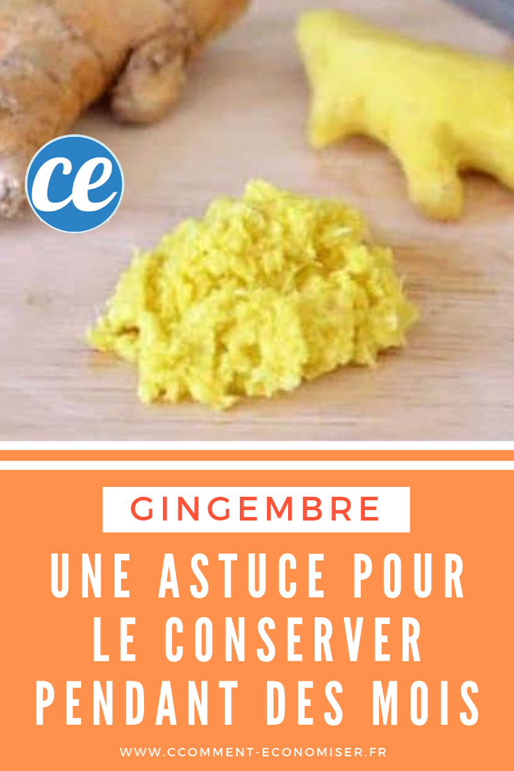 Racine de gingembre frais