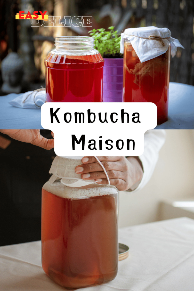 Mère de Kombucha bocal