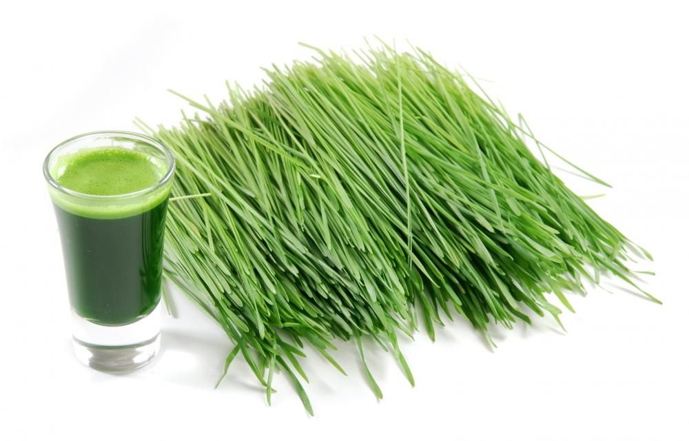 Jus herbe de blé shot