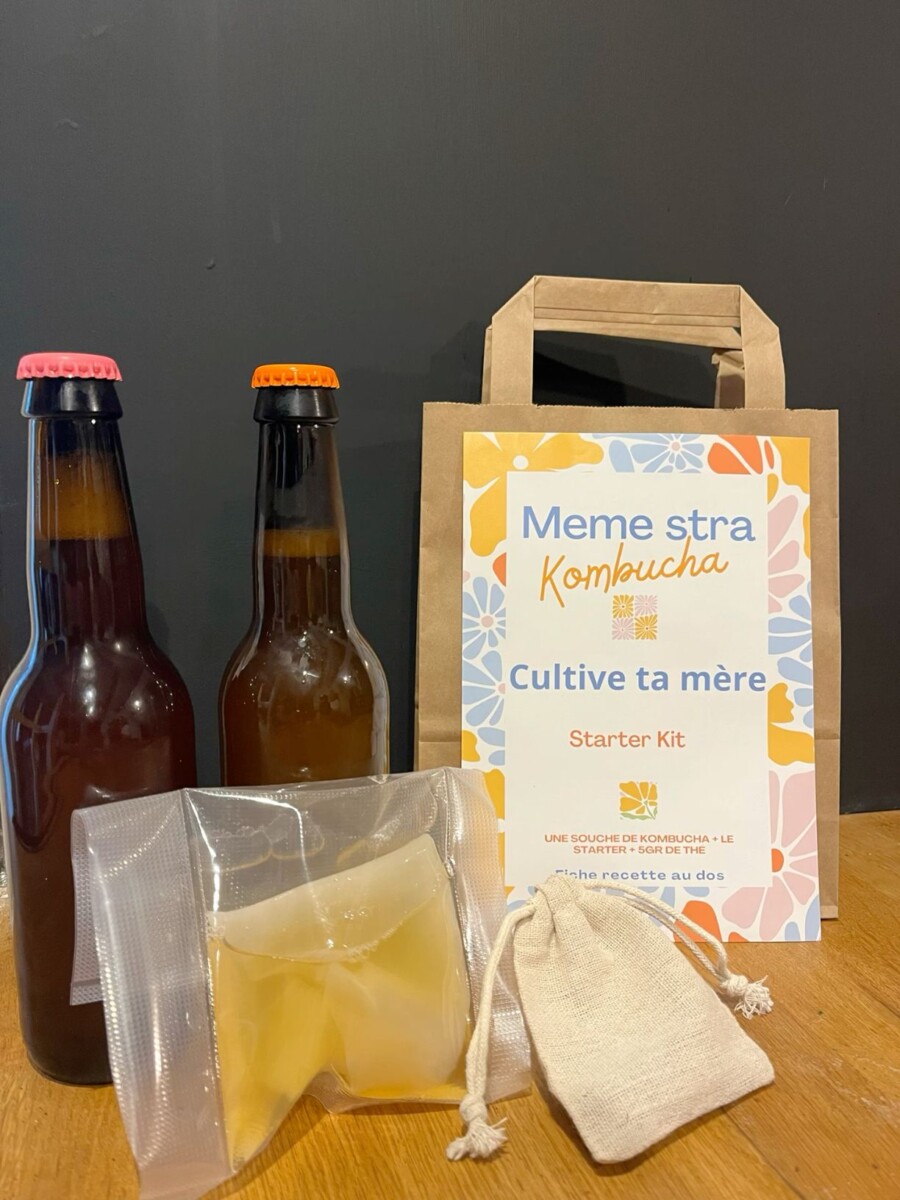 Mère de Kombucha bocal