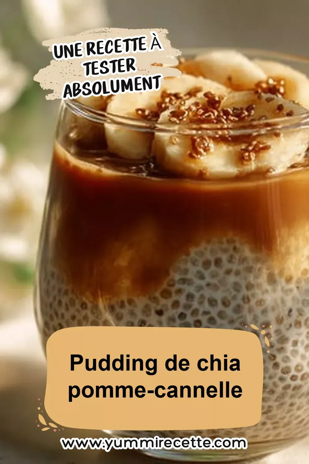 Pudding de chia baies