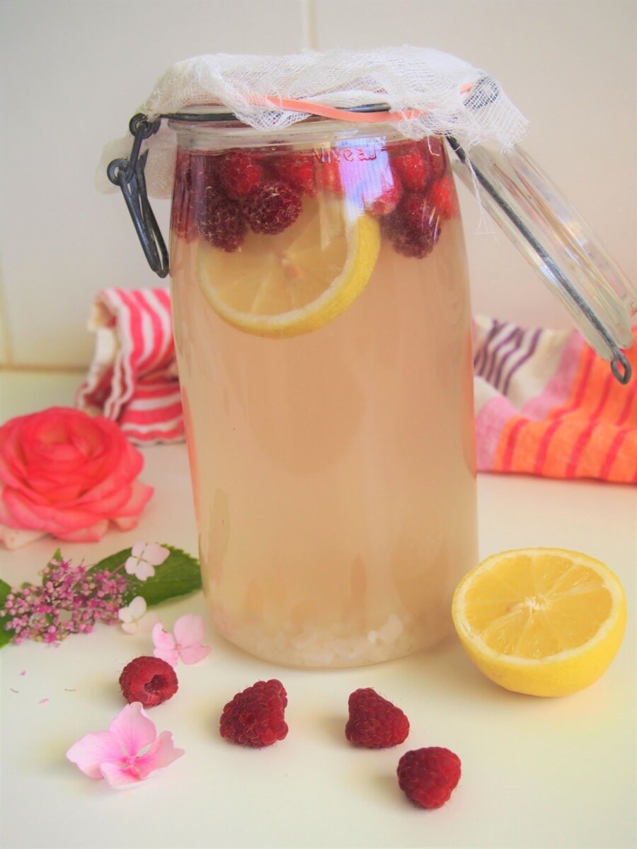 Kéfir de fruits maison