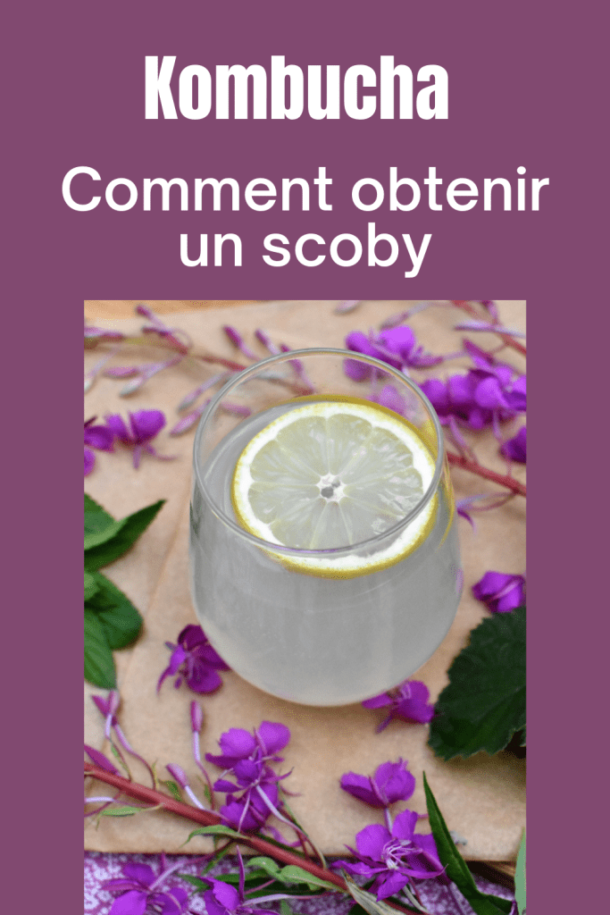 100 cl en ml