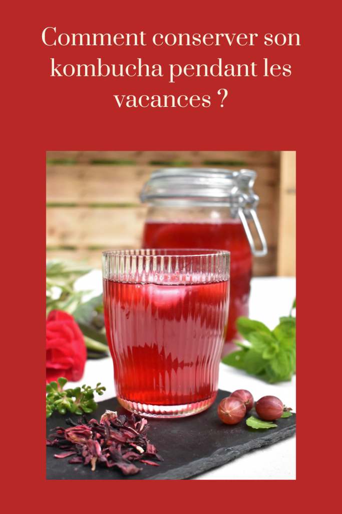 Mère de Kombucha bocal