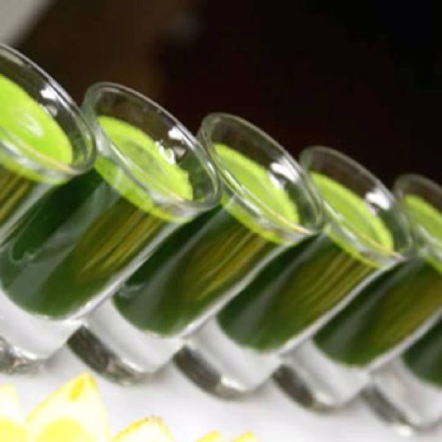Jus herbe de blé shot