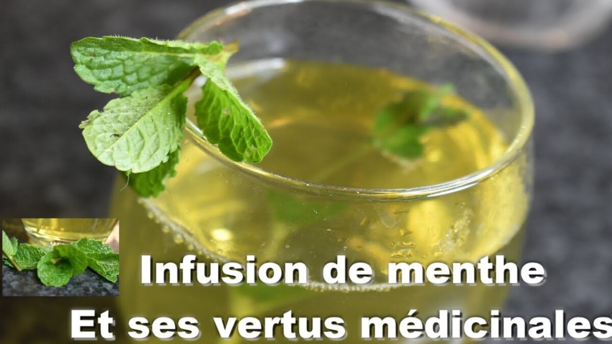 Infusion menthe fraîche bio