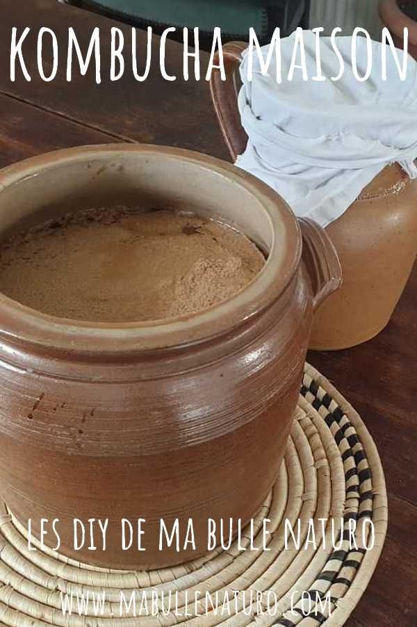 Mère de Kombucha bocal