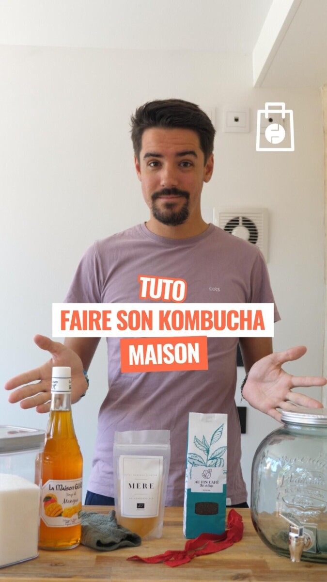 Mère de Kombucha bocal