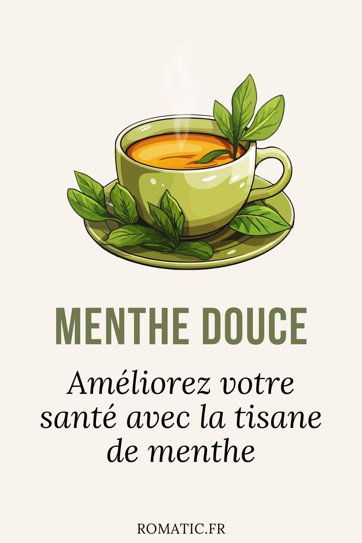 Infusion menthe fraîche bio