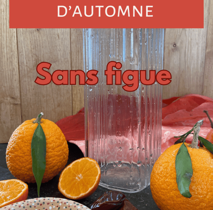 Le secret de notre kéfir de fruits : 30 cl en ml de pur bonheur