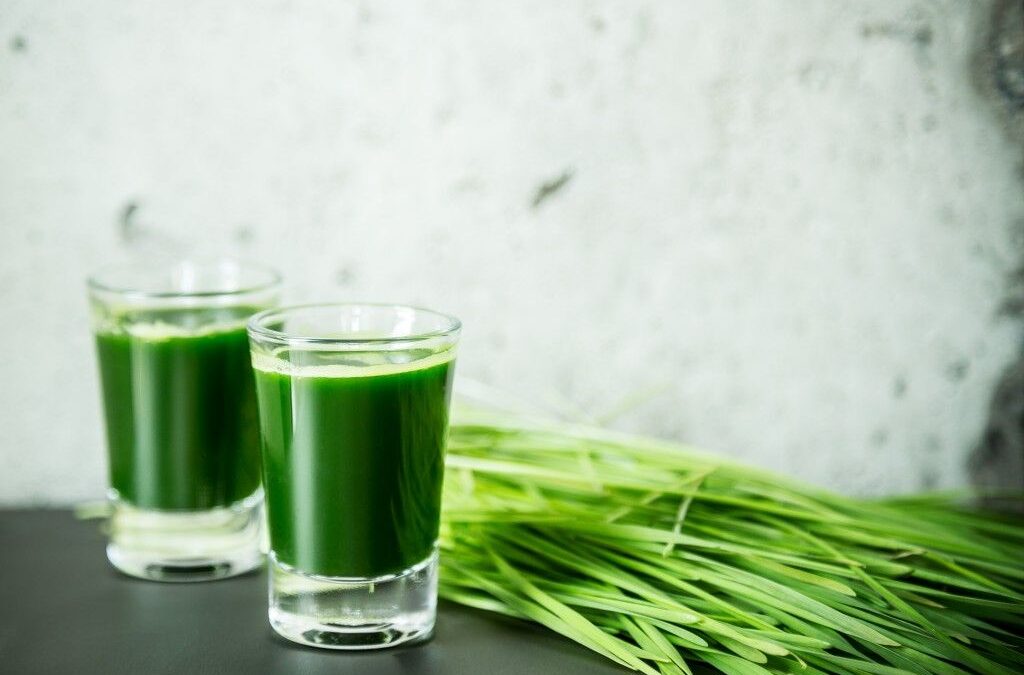 Shot d’herbe de blé : Comment mesurer 50 ml en cl pour votre dose matinale