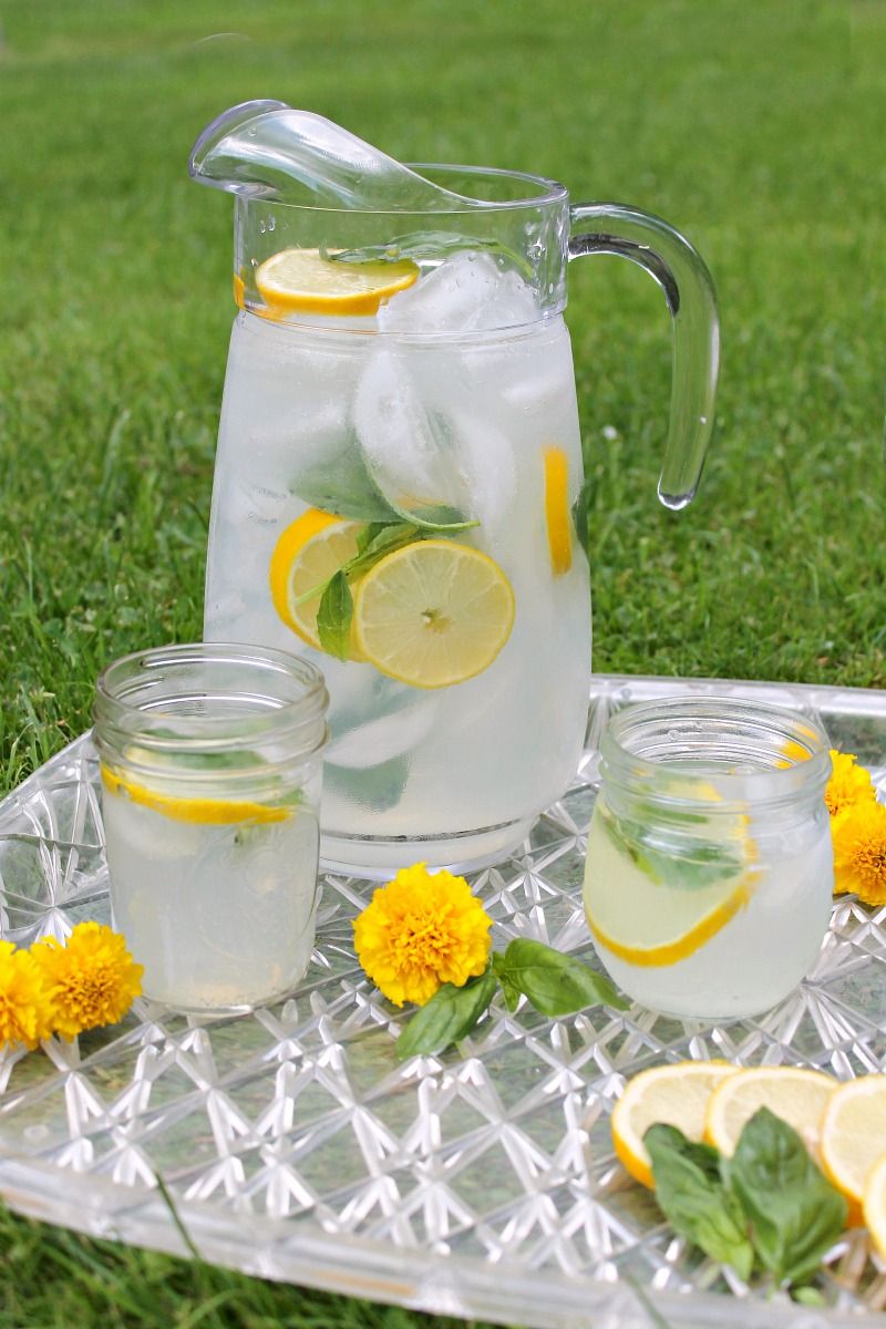 Limonade maison basilic carafe