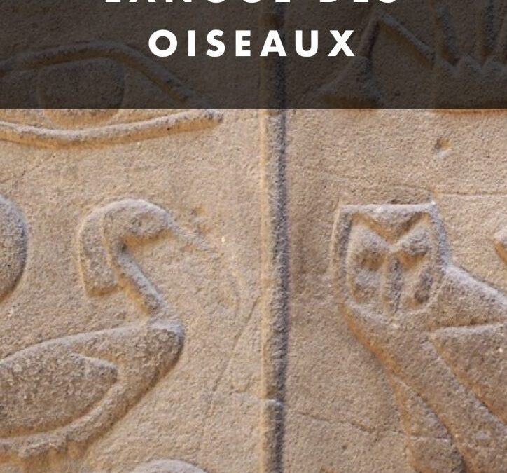 Recette langue d&rsquo;oiseau sans viande : un plat original et savoureux