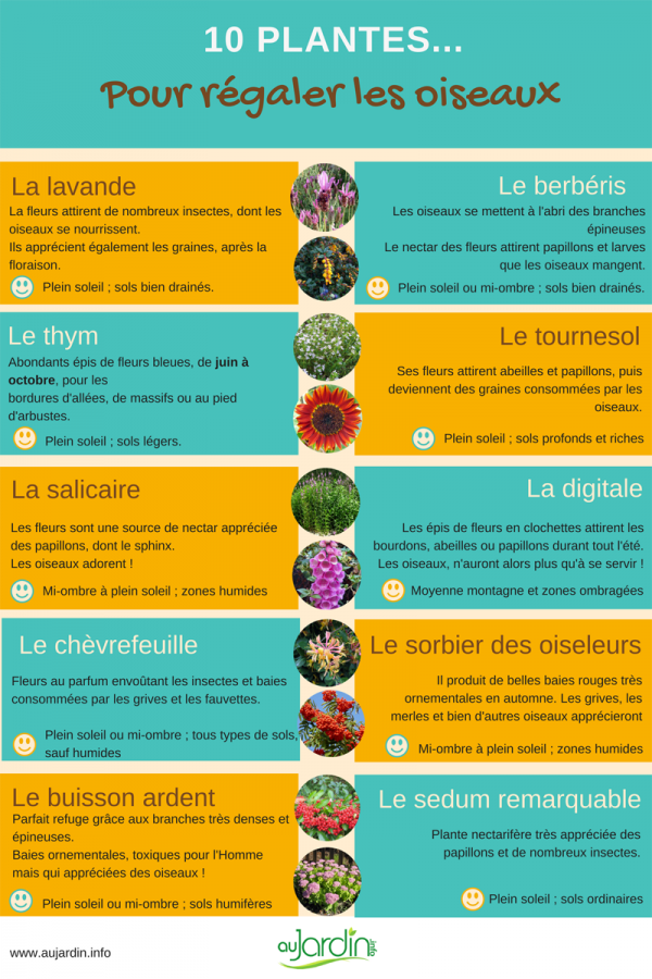 Recette sans viande originale