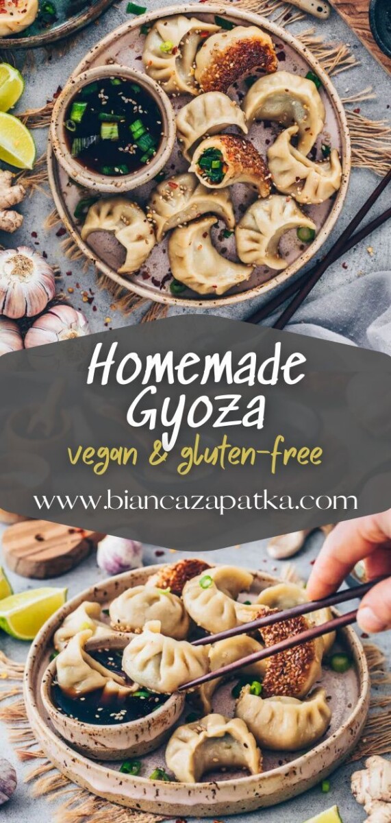 Gyoza maison sans viande