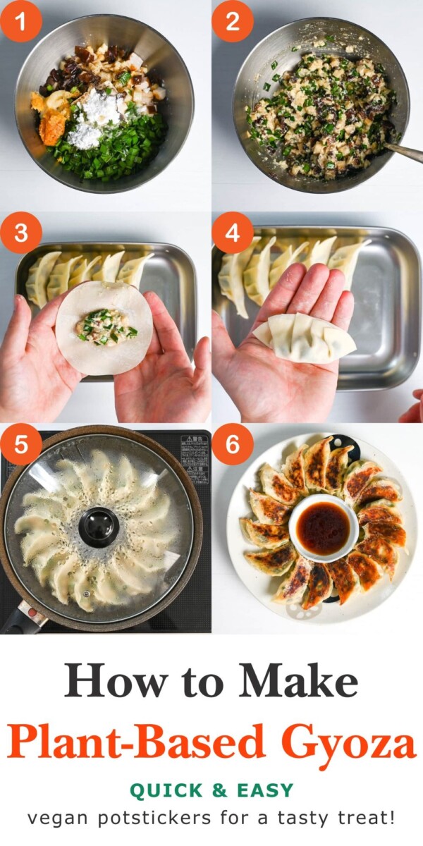 Raviolis japonais végétariens