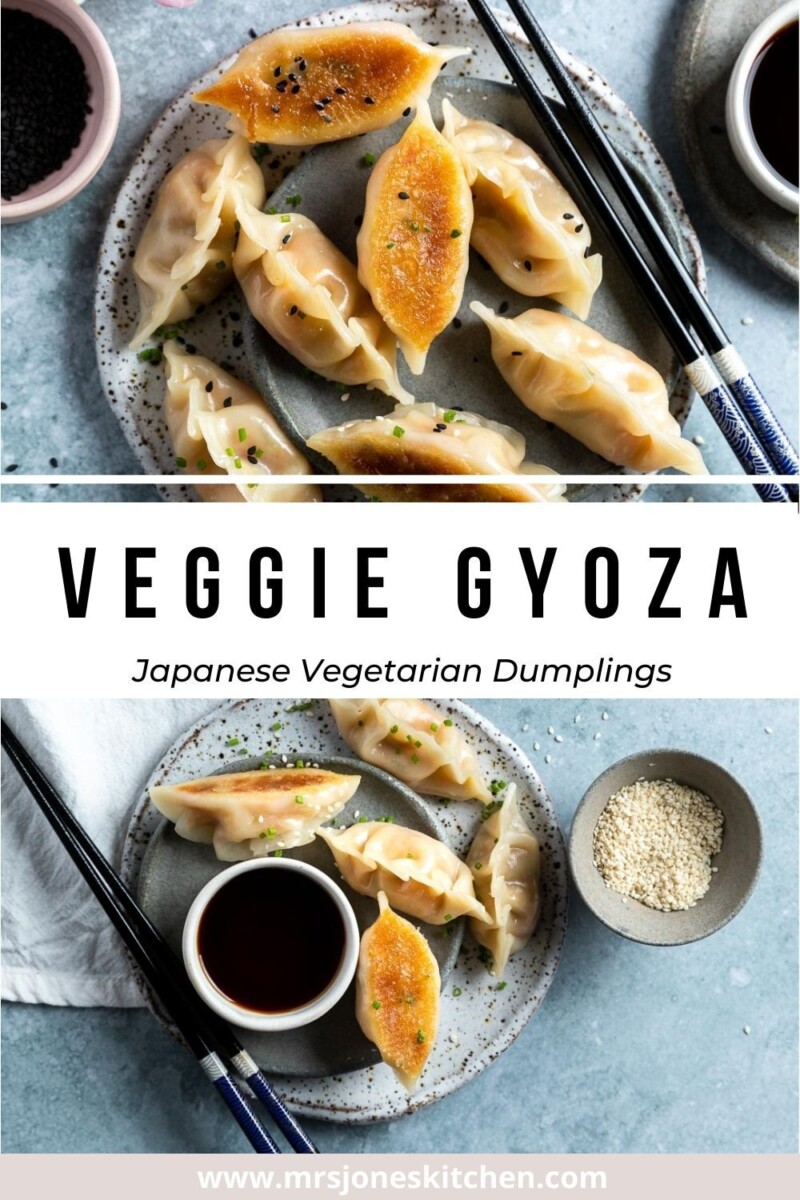 Gyoza maison sans viande