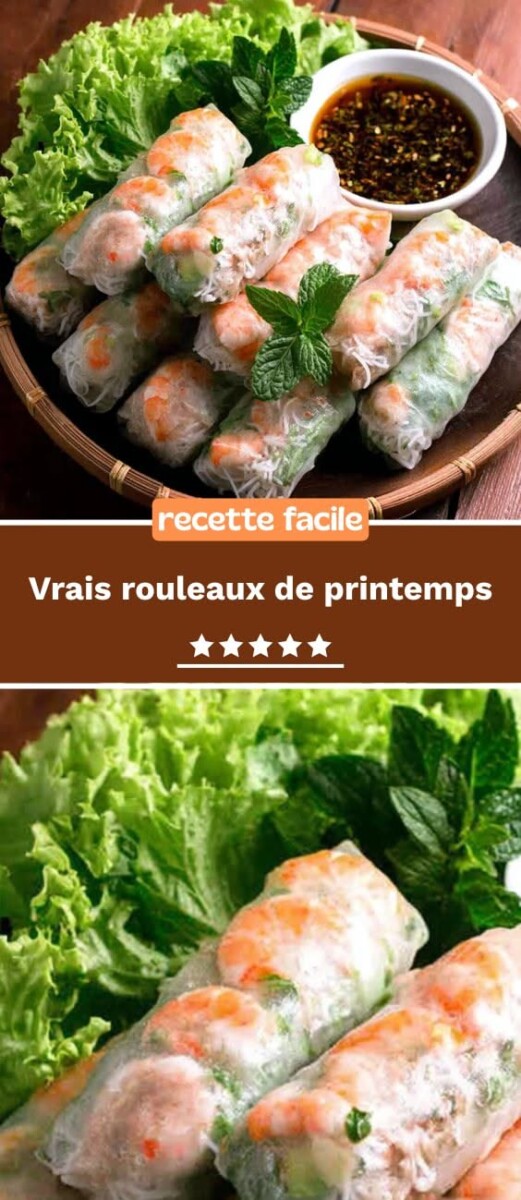 Rouleaux de printemps végétariens