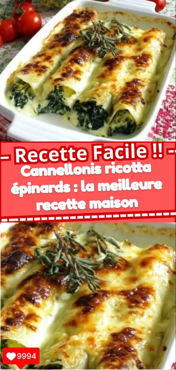 Plat italien réconfortant