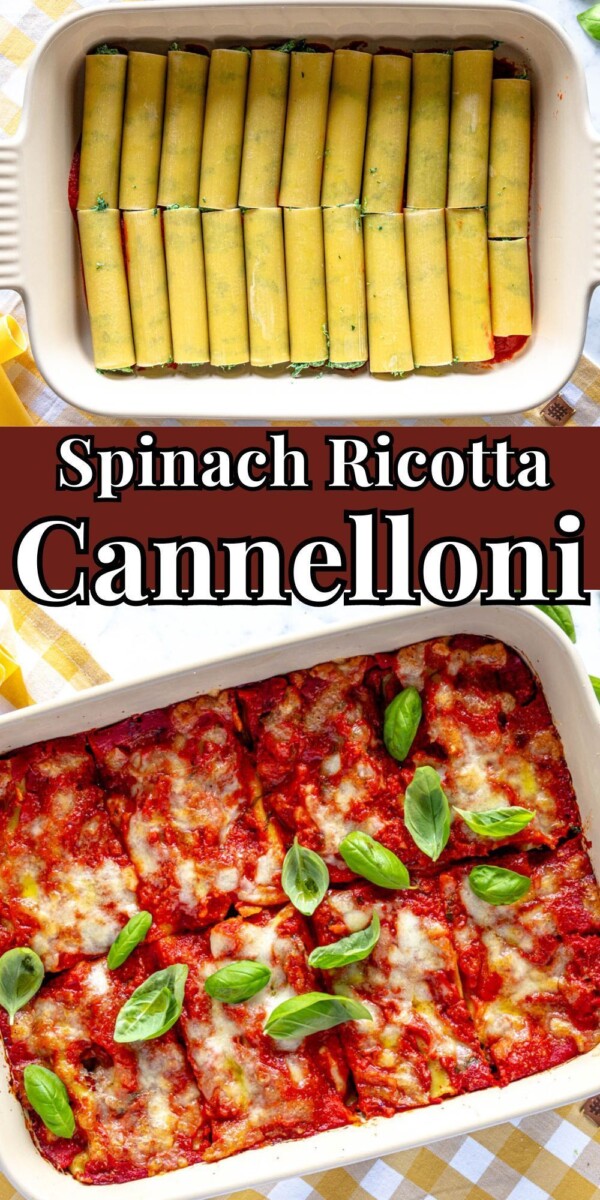 Cannelloni végétarien savoureux