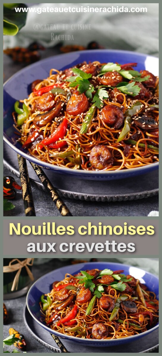 Nouilles de riz asiatiques