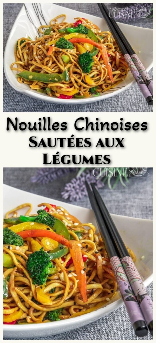 Nouilles de riz asiatiques